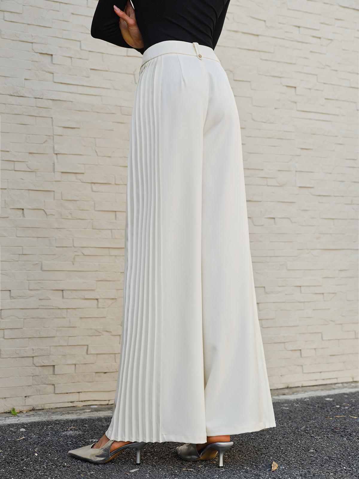 Wide Pleated Pants